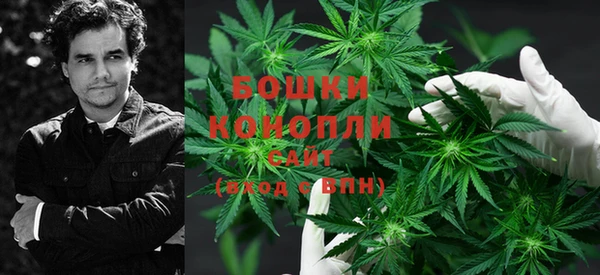 дживик Дегтярск