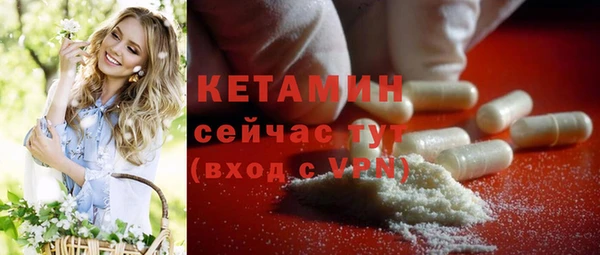прущие грибы Саяногорск