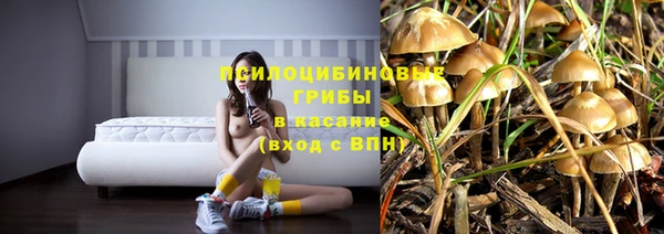прущий лед Дедовск